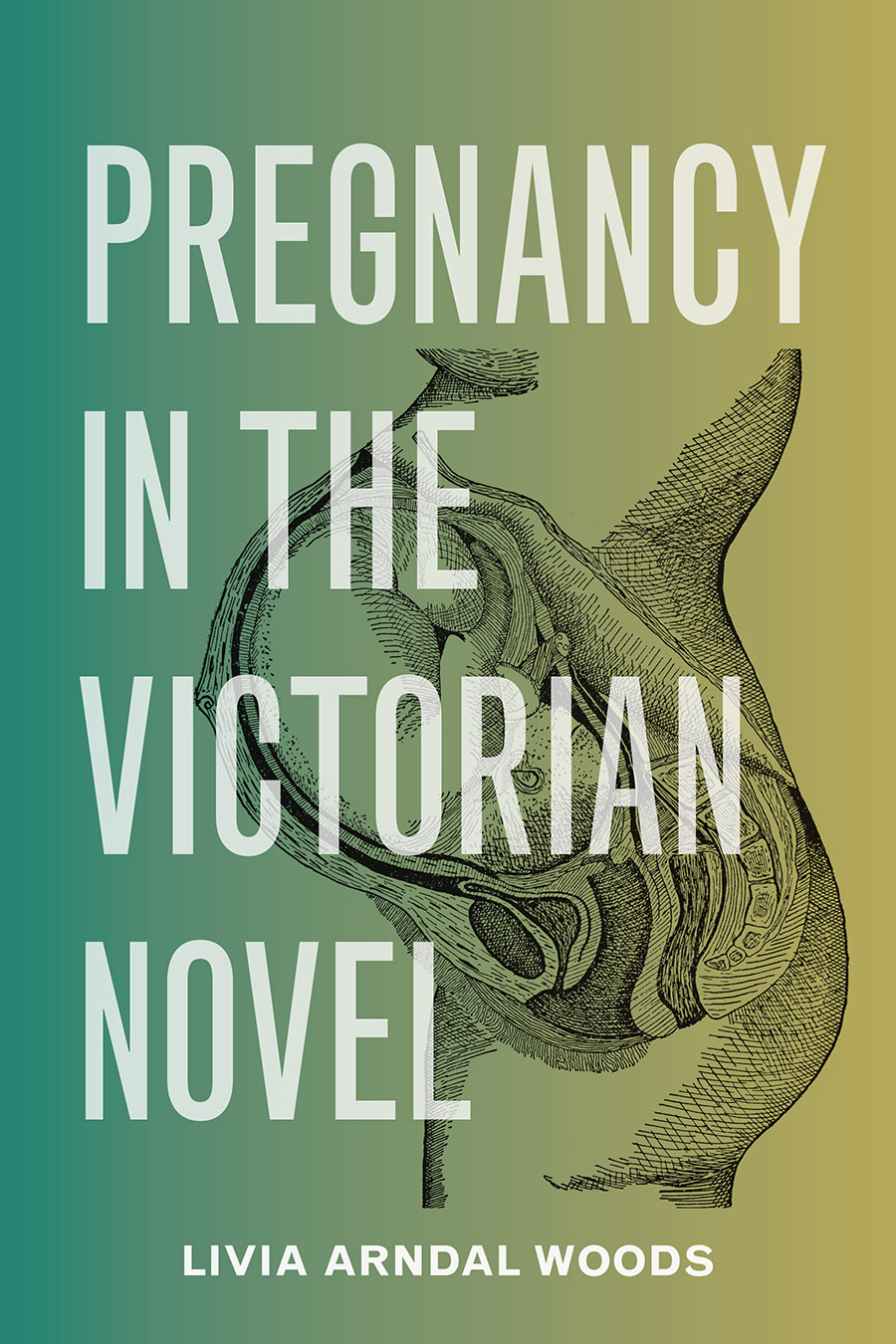 Front cover of Pregnancy in the Victorian Novel by Livia Arndal Woods, featuring a picture of an anatomical cross-section of a fetus within a pregnant woman's body.