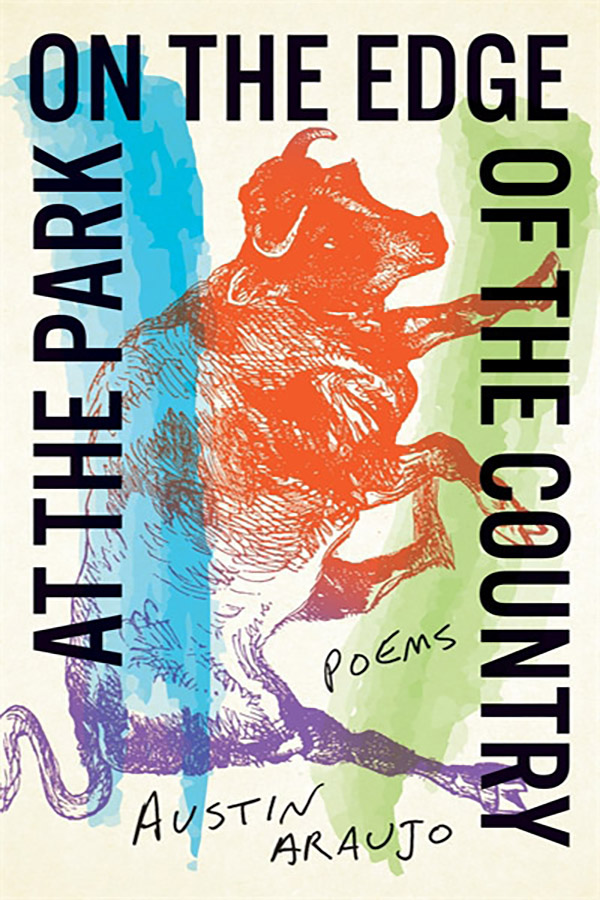 At the Park on the Edge of the Country: Poems book cover